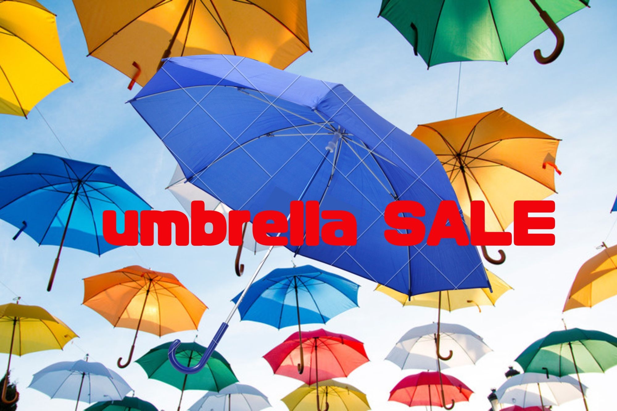 umbrella SALE